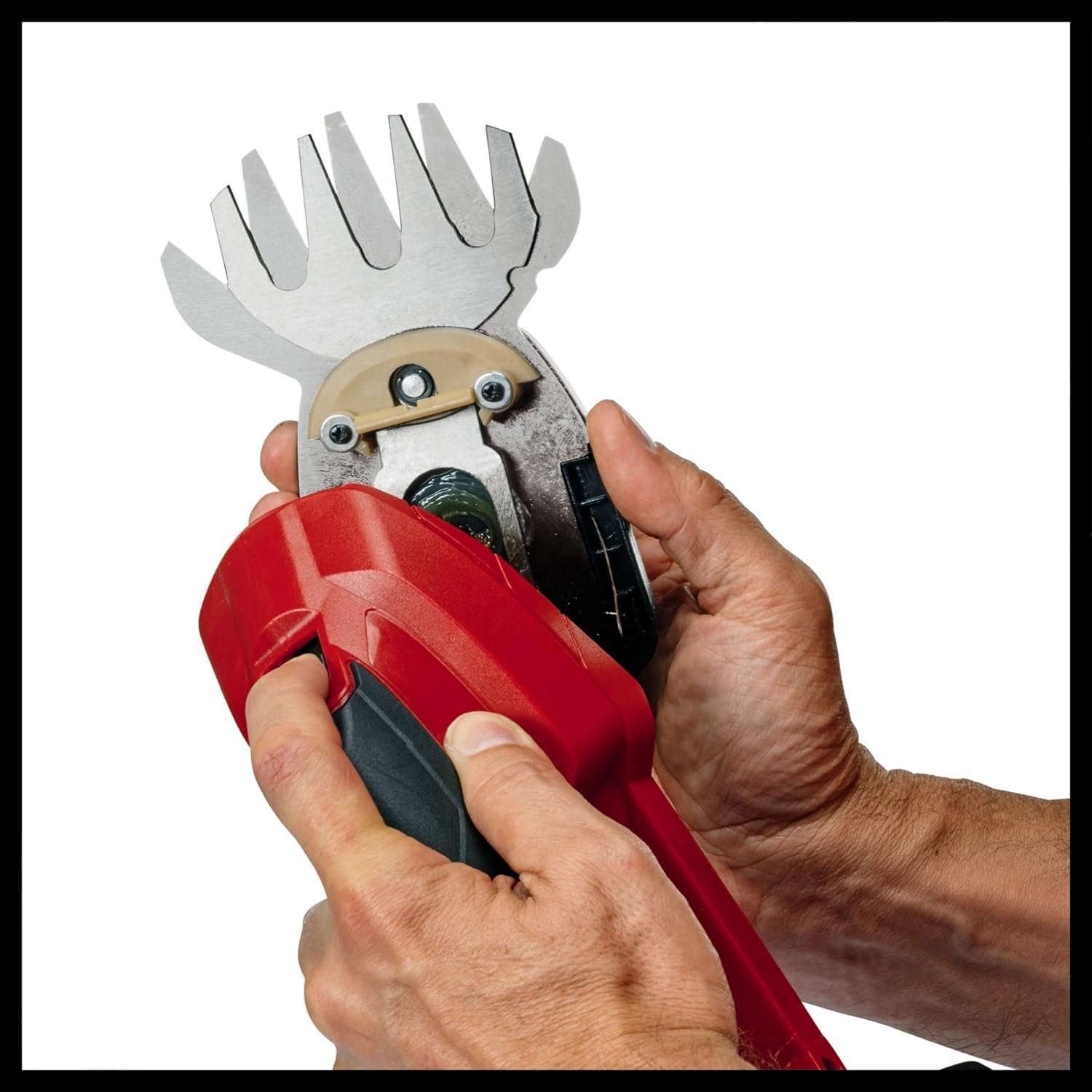 einhell-tijera-de-c-sped-y-arbustos-gc-cg-18-li-solo-18v-2-cuchillas image 8