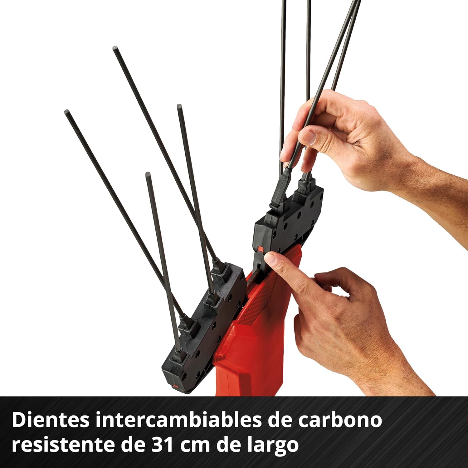einhell-ge-fs-18-53-li-solo-vareador-de-aceitunas-a-bater-a-telesc-pico-18v image 5