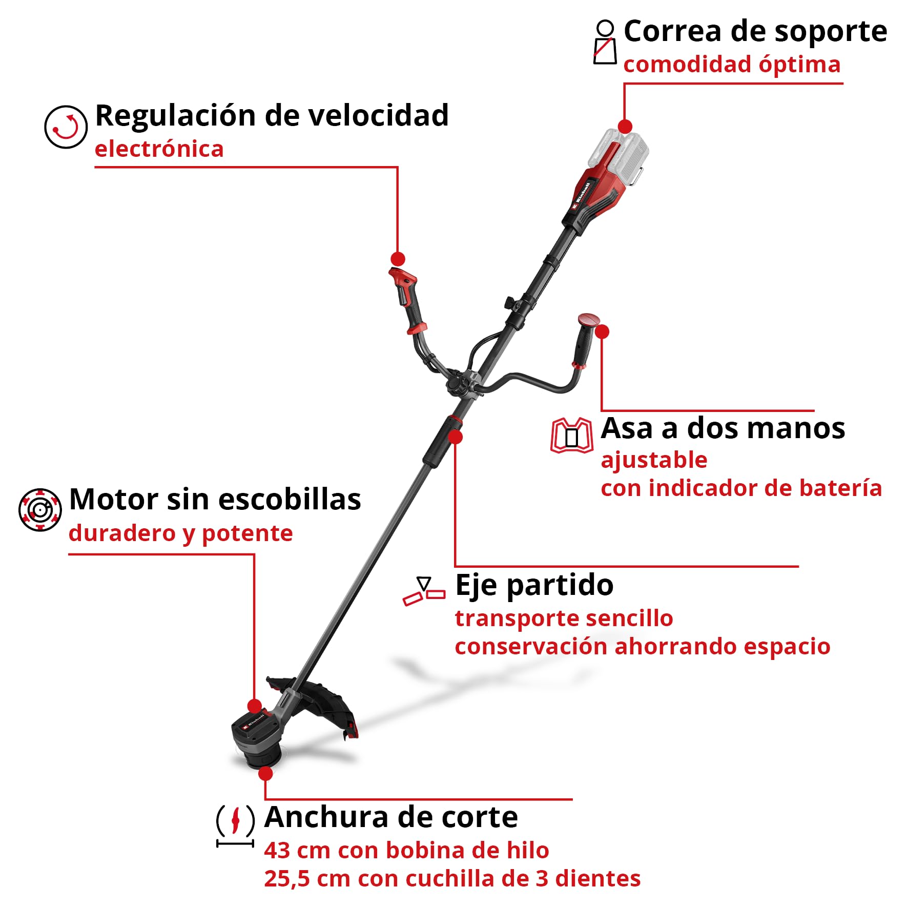 einhell-professional-gp-bc-36-430-li-bl-solo-desbrozadora-a-bater-a-36v-brushles image 3
