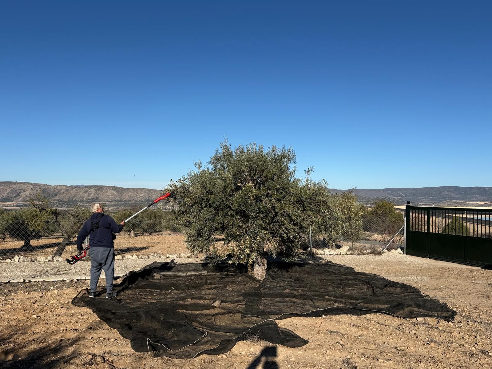 Para el campo, ideal