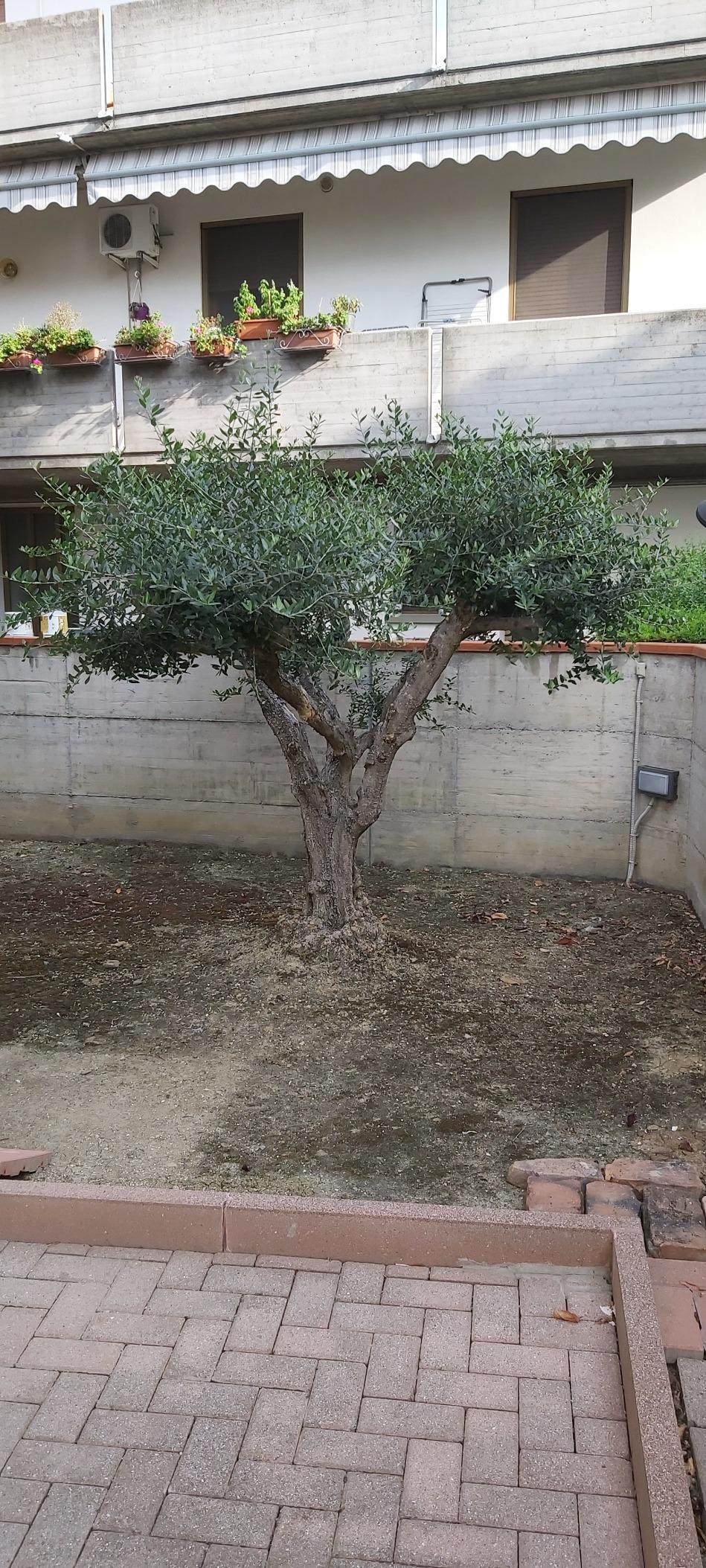 Perfecto para mi jardín