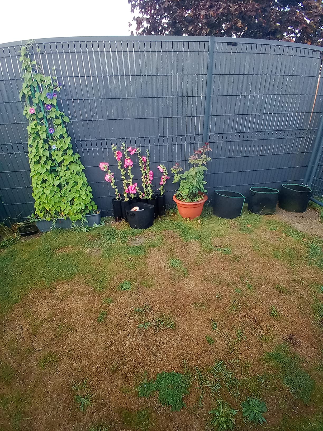 Perfecto para jardines pequeños