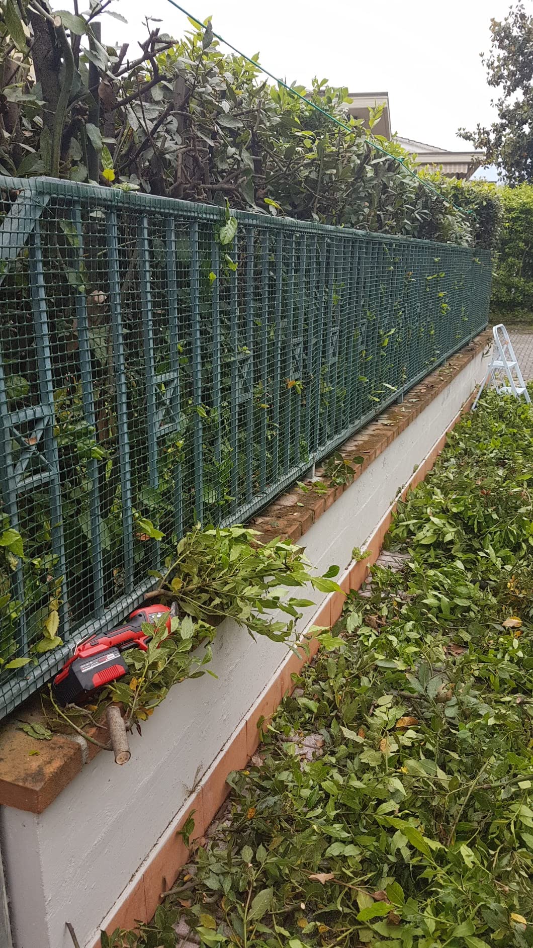 ¡Genial para el jardín!