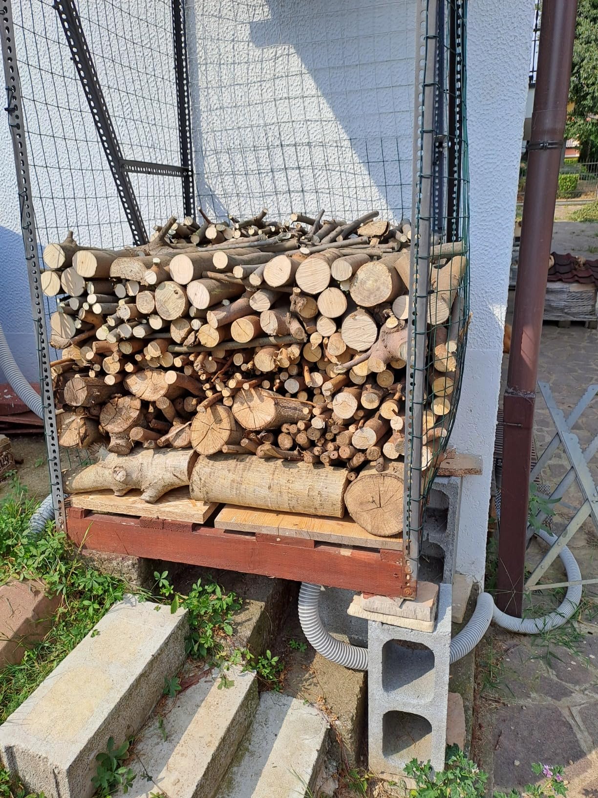 Corta que da gusto