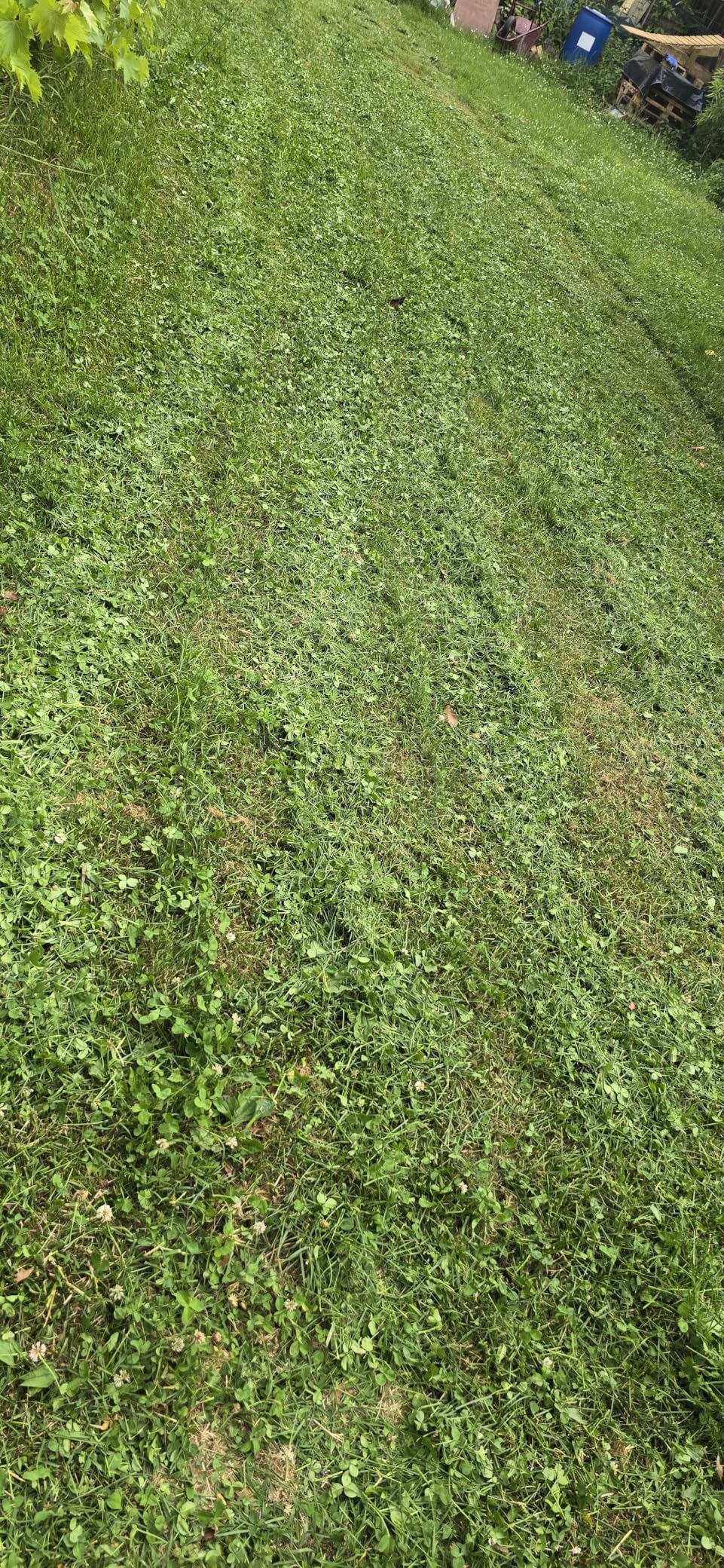 Ideal para el jardín